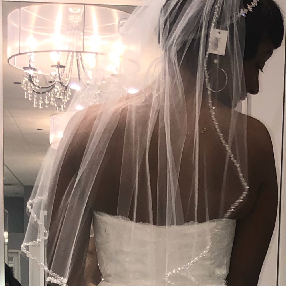 Bridal Veil!  BRAND NEW!